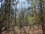 ea_3_Moore_County__NC__10_acres__TBD_Quarry_Branch