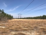 Richmond County, NC, 78.9 Acres, Hamer Mill Road 2
