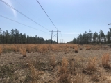 Richmond County, NC, 78.9 Acres, Hamer Mill Road 1