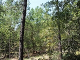 ea_Moore_County__NC__10_Acres__TBD_Winford_Rd__Int