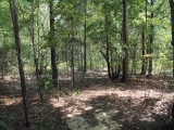 ea_Moore_County__NC__10_Acres__TBD_Winford_Rd__Int
