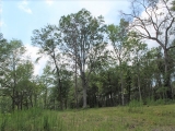 ea_Moore_County__NC__3_acres__TBD_S_Plank_Rd___12_