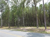 ea_Moore_County__NC__3_acres__TBD_S_Plank_Rd___31_