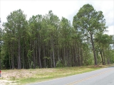 ea_Moore_County__NC__3_acres__TBD_S_Plank_Rd___32_
