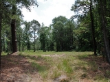 ea_Moore_County__NC__3_acres__TBD_S_Plank_Rd___33_