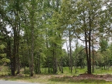 ea_Moore_County__NC__3_acres__TBD_S_Plank_Rd___41_