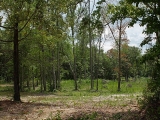 ea_Moore_County__NC__3_acres__TBD_S_Plank_Rd___42_