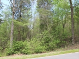 ea_Moore_County__NC__90_acres__TBD_Plank_Road__Fro