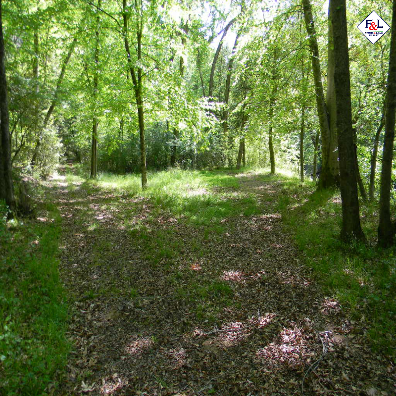 Farms and Land Realty Moore County, NC, 30 Acres, Spies Road