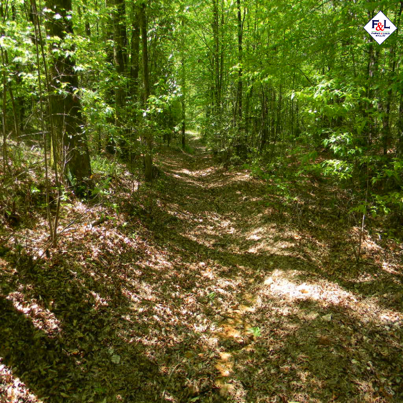 Farms and Land Realty Moore County, NC, 30 Acres, Spies Road