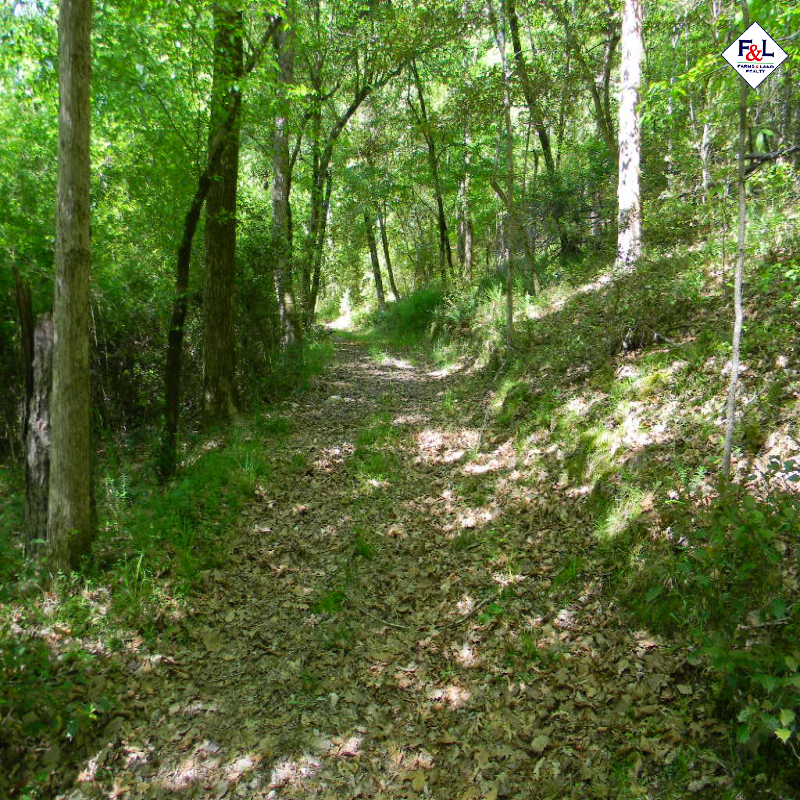 Farms and Land Realty Moore County, NC, 30 Acres, Spies Road