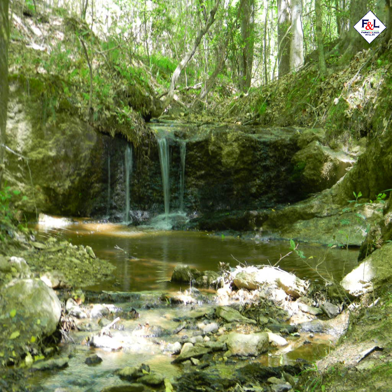 Farms and Land Realty Moore County, NC, 30 Acres, Spies Road