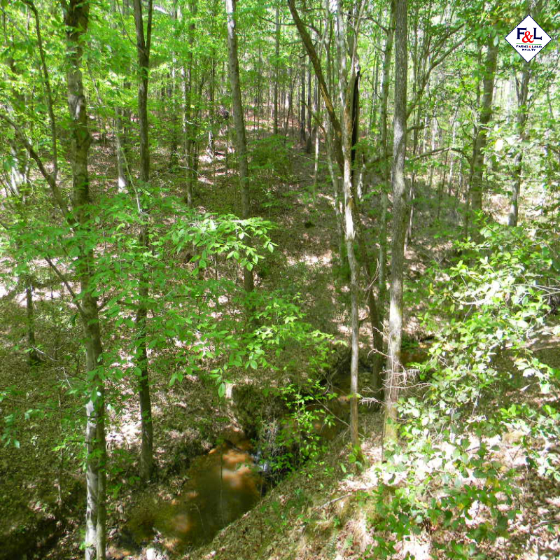 Farms and Land Realty Moore County, NC, 30 Acres, Spies Road