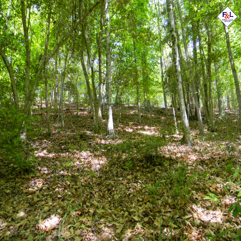 Farms and Land Realty Moore County, NC, 30 Acres, Spies Road