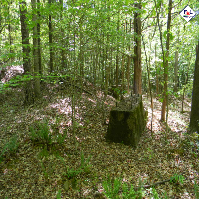 Farms and Land Realty Moore County, NC, 30 Acres, Spies Road