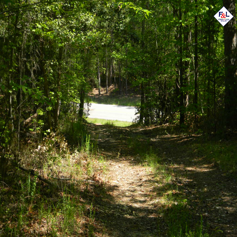 Farms and Land Realty Moore County, NC, 30 Acres, Spies Road
