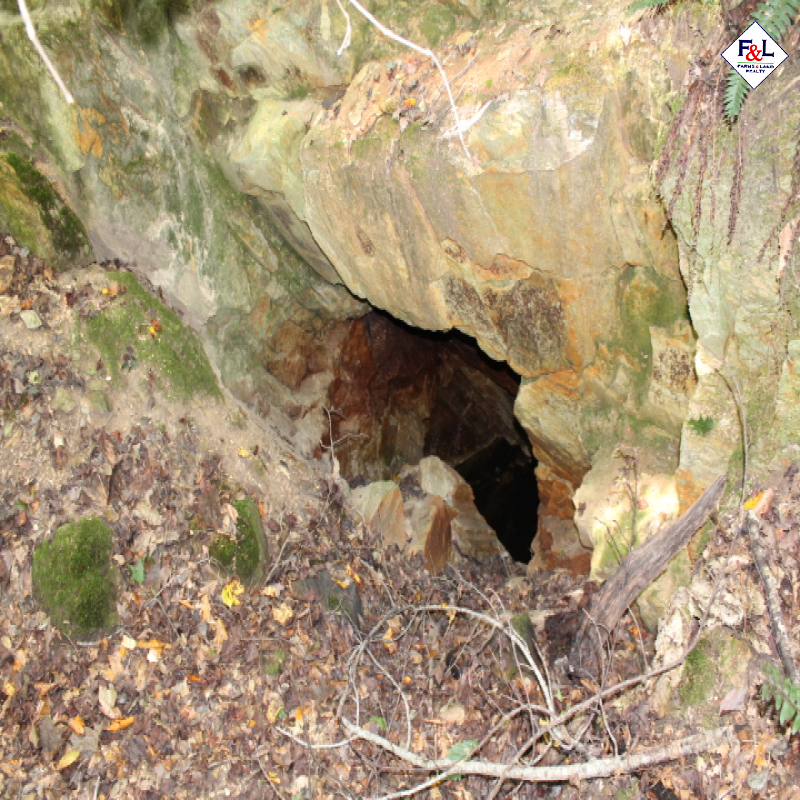 Farms and Land Realty Moore County, NC, 30 Acres, Spies Road