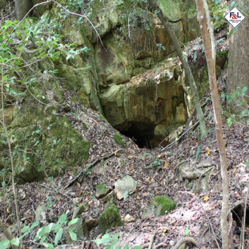 Farms and Land Realty Moore County, NC, 30 Acres, Spies Road