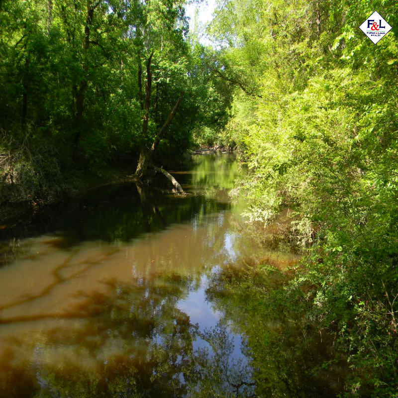 Farms and Land Realty Moore County, NC, 30 Acres, Spies Road