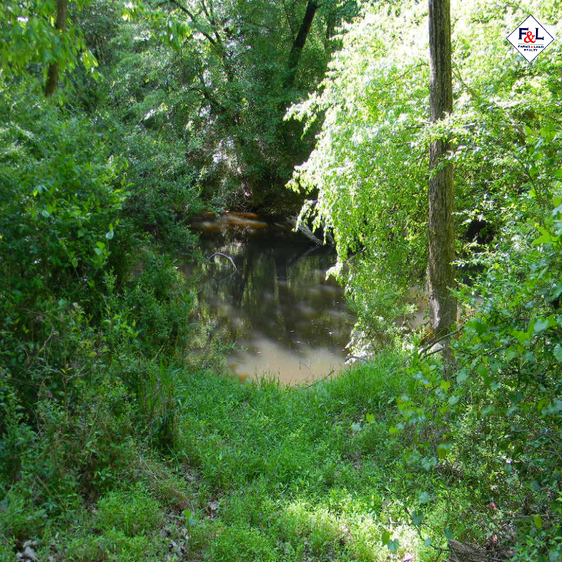 Farms and Land Realty Moore County, NC, 30 Acres, Spies Road