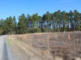 ea_Moore_County__NC__10_Acres__1653_Youngs_Road__F