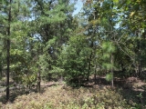 ea_Moore_County__NC__10_Acres__TBD_Winford_Rd__Int