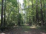 ea_Moore_County__NC__12_acres_TBD_Pinehurst_Avenue