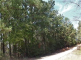 ea_Moore_County__NC__19_acres__TBD_Joel_Road__Dirt