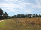 ea_Moore_County__NC__19_acres__TBD_Joel_Road__open