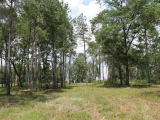 ea_Moore_County__NC__3_acres__TBD_S_Plank_Rd___11_