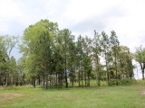 ea_Moore_County__NC__3_acres__TBD_S_Plank_Rd___13_