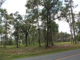 ea_Moore_County__NC__3_acres__TBD_S_Plank_Rd___14_