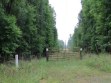 ea_Moore_County__NC__8_acres__TBD_Letlough_Rd_6_JP