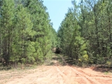 ea_Moore_County__NC__90_acres__TBD_Plank_Road__ent