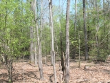 ea_Moore_County__NC__90_acres__TBD_Plank_Road__int