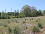 ea_Richmond_County__NC__24_acres__TBD_McGee_Road__