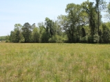 ea_Richmond_County__NC__24_acres__TBD_McGee_Road__