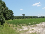 ea_Scotland_County__NC__134_acres__TBD_Hasty_Road_